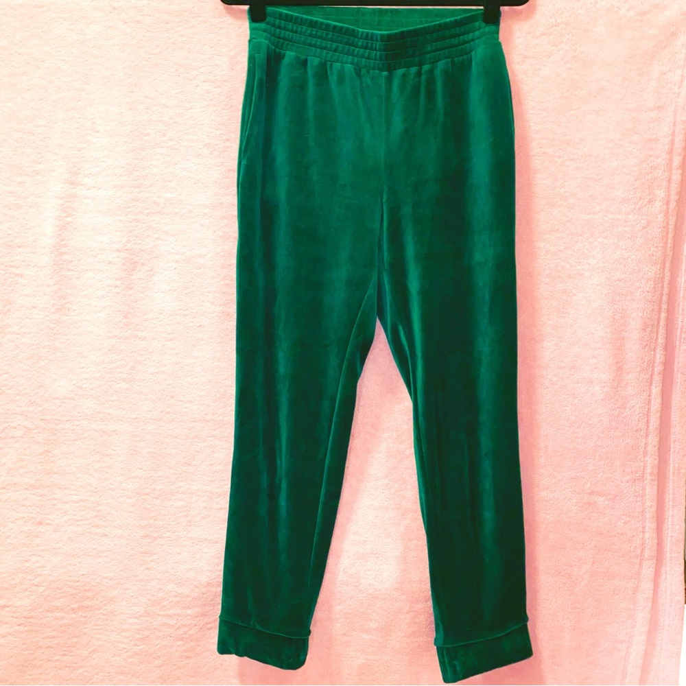 Velour Emerald Green Jogger Pant Highwaist Extra Small  Wild Fable Velour Lounge